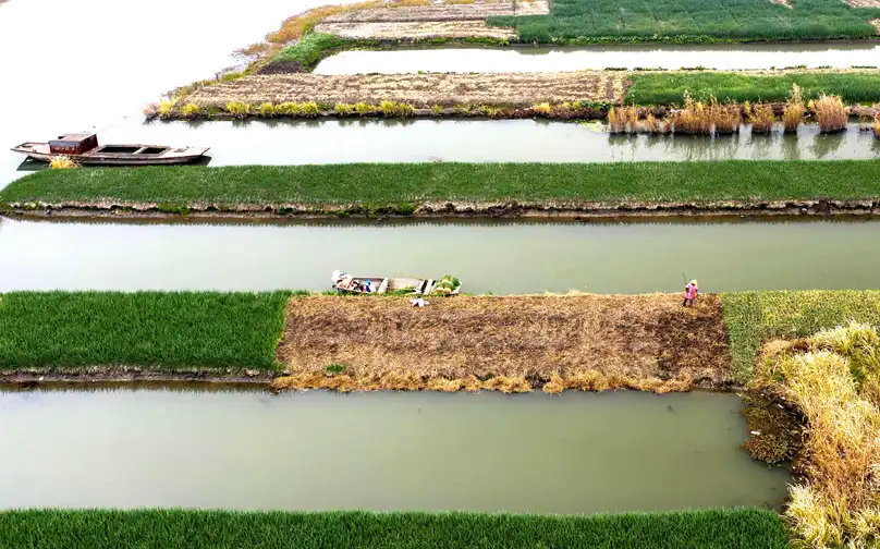 img-496-372 img-496-372